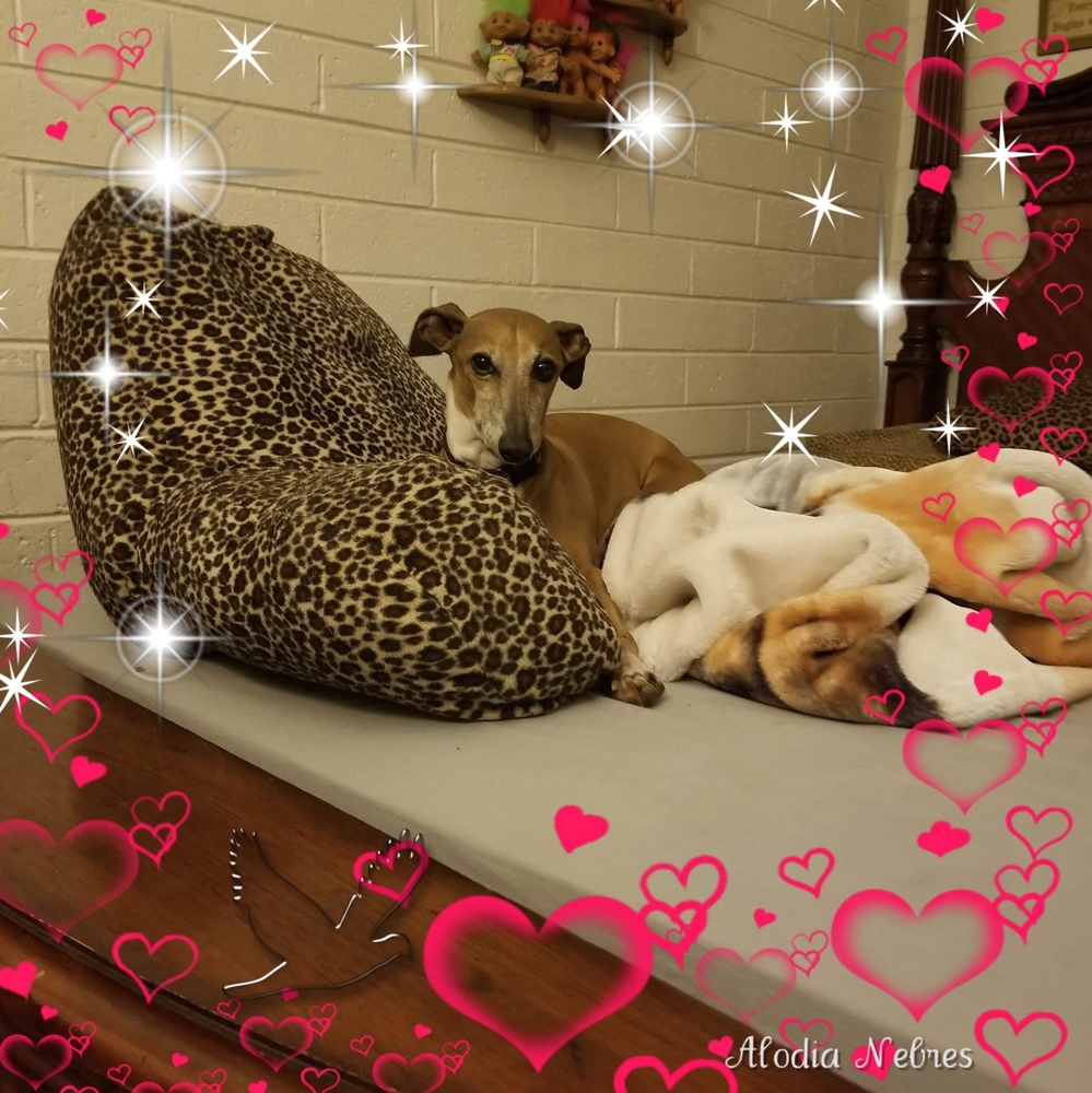 Meet your Posher, Teri